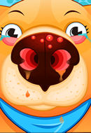 Doctor Pet Nose Doctor Pet Nose